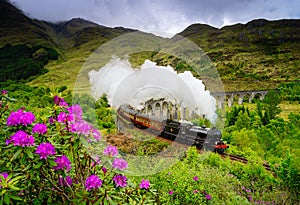 Glenfinnan Railway Viaduct in Scotland with a steam train in the spring time