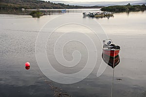 Glengarriff Harbour