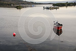 Glengarriff Harbour photo