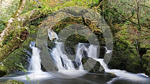 Glengarriff Waterfall