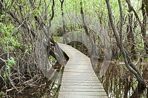 Glenorchy Lagoon walkway