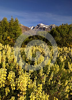 Glenorchy, New Zealand