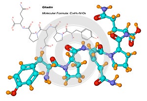 Gliadin molecule, component of gluten