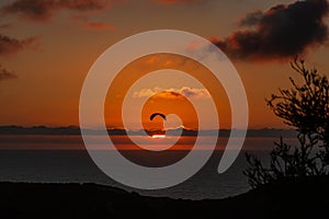 A glider coasting the California sunset over the Pacific Ocean in La Jolla