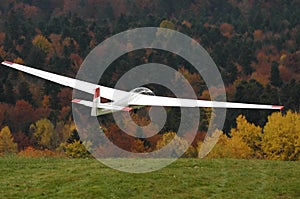 Glider in flight.