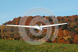 Glider in flight.