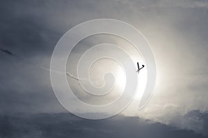 Glider flying upon the lake