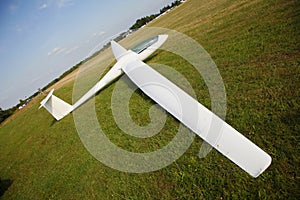 Glider just landed photo