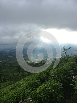A glimmer of sunlight that penetrates the clouds, seen from the hills of the mountains of tea
