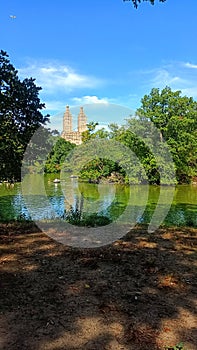 Glimpse of Central Park, New York