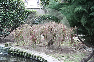 Glimpse of a city park