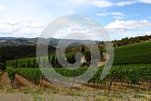 Glimpse of the Tuscan countryside, land of wines