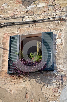 Glimpse of a typical medieval village