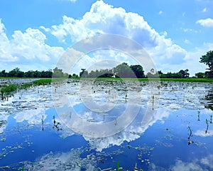 Sky reflection in the water, so beautiful