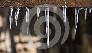 Glistening icicles
