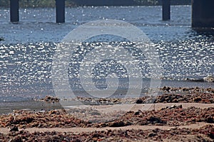 GLISTENING WATER IN THE LAGOON