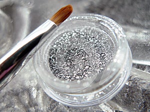 Glitter Cosmetics and Applicator Brush