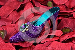 Glitter Shoe