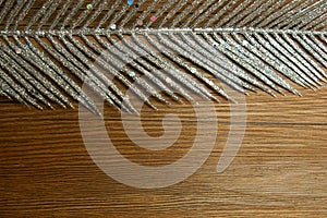 Glitter silver feather wood background