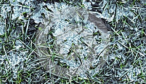 Glittering pieces of ice on the green grass. Spring background with rime on young greens. Melting ice on the ground.