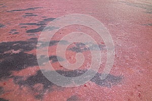 Glittery surface of salt lake appearing pink due to green algae