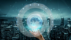 Global Cloud Computing Network Services and Data Storage Motif