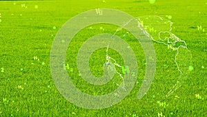 Global digital with green H2 particles flying on green grass background,concept green hydrogen clean energy all the world