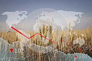 Global and European grain and wheat crisis after Russia`s invasion of Ukraine