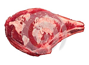 Global Meat Industry