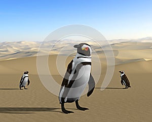 Global Warming, Climate Change, Desert Penguins