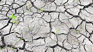 Global warming concept environmental issues. Dry land without rain