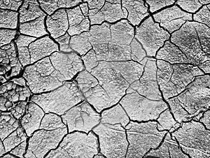 Global warming. Cracked dry earth. b&w