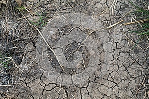 Global warming.Cracked land at dry river or lake, metaphor climate change, global warming and water crisis