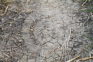 Global warming.Cracked land at dry river or lake, metaphor climate change, global warming and water crisis