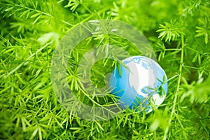 Global Warming, Environment and Ecology Concept. Close up of mini world ball on green leaf tree nature with rain drop