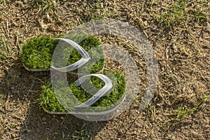 Global warming environment, last green flip flops isolated on dried grass