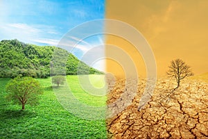 Global Warming and human waste ,Pollution Concept - Sustainability.  showing the effect of arid land with tree changing