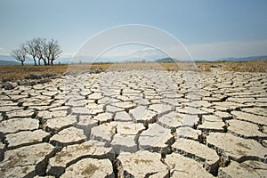 Asunto del calentamiento Global, del suelo de la tierra se seca, las condiciones de sequía en borneo, Sabah, con ausencia de lluvias durante el mes pasado.