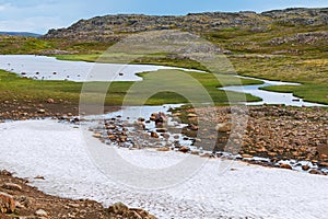 Global warming melting snow in to flow river - green grass
