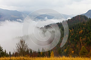 A livello globale riscaldamento. montagna. nuvole un nebbia 