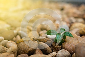 Global warming reduction campaign