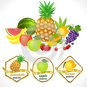 Globally available Assorted Fresh Fruits