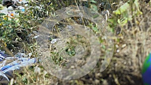 Globe ball lying on grass near landfill, environmental hazard awareness, hazard