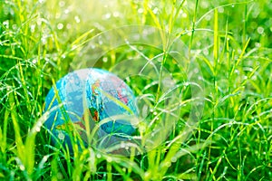 Globe or earth on fresh dew grass with sunlight.