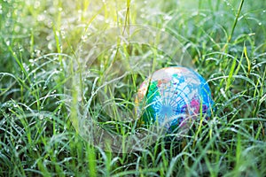 Globe or earth on fresh dew grass with sunlight.