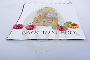 Globe, flowers and back to school title