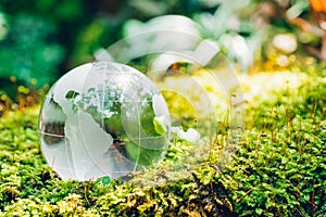 Globe glass in grass forest on nature background