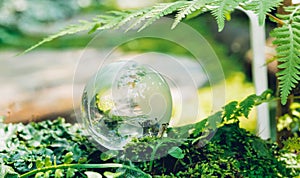 Globe glass in grass forest on nature background
