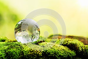 globe glass on grass with sunshine. environment concept