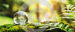 globe glass on grass with sunshine. environment concept